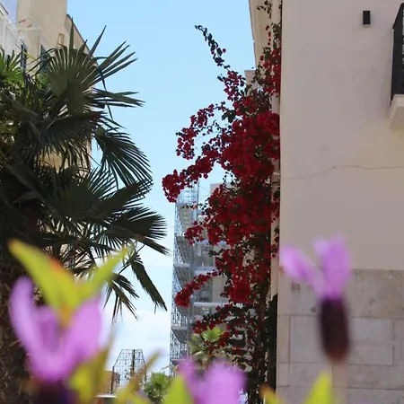 Ca' Amaranta マルゲリータ・ディ・サヴォイア